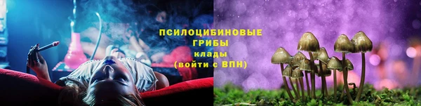 гашиш Новодвинск
