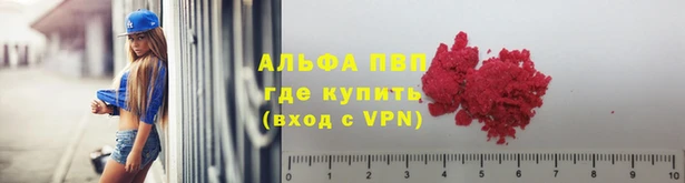 ГАЛЛЮЦИНОГЕННЫЕ ГРИБЫ Новозыбков