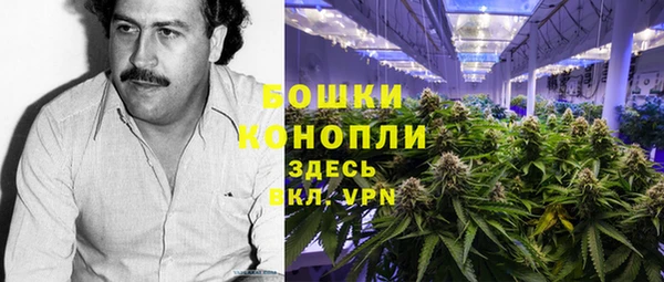 ГАЛЛЮЦИНОГЕННЫЕ ГРИБЫ Новозыбков