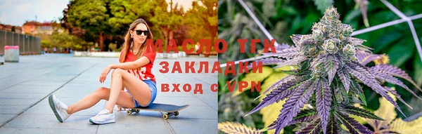 ГАЛЛЮЦИНОГЕННЫЕ ГРИБЫ Новозыбков