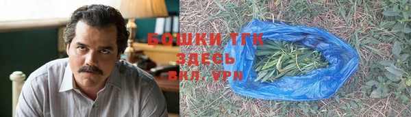 ГАЛЛЮЦИНОГЕННЫЕ ГРИБЫ Новозыбков