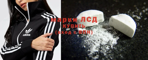 ГАЛЛЮЦИНОГЕННЫЕ ГРИБЫ Новозыбков
