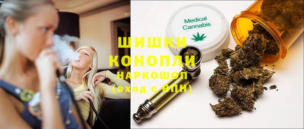 ГАЛЛЮЦИНОГЕННЫЕ ГРИБЫ Новозыбков